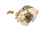 Скульптура Бык (белый, разноцветный)
